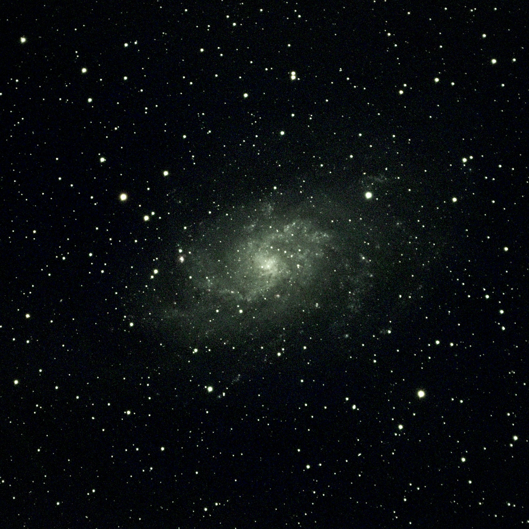 Triangulum Galaxy